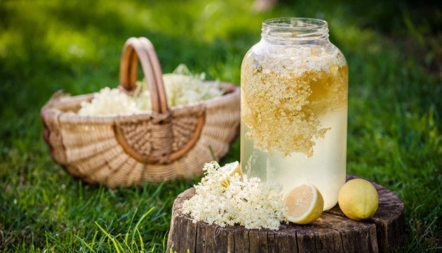 Домашний квас из бузины: как приготовить полезный и вкусный напиток
