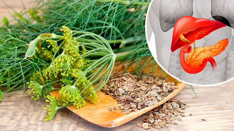 Как поддержать поджелудочную железу с помощью народных средств