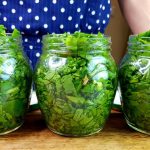 Щавель в банках без соли – как заготовить зелень надолго и без хлопот 13 Щавель в банках без соли – как заготовить зелень надолго и без хлопот