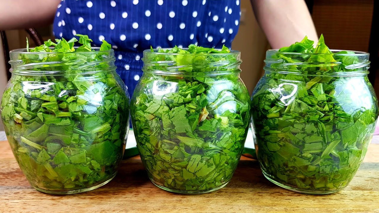 Щавель в банках без соли – как заготовить зелень надолго и без хлопот