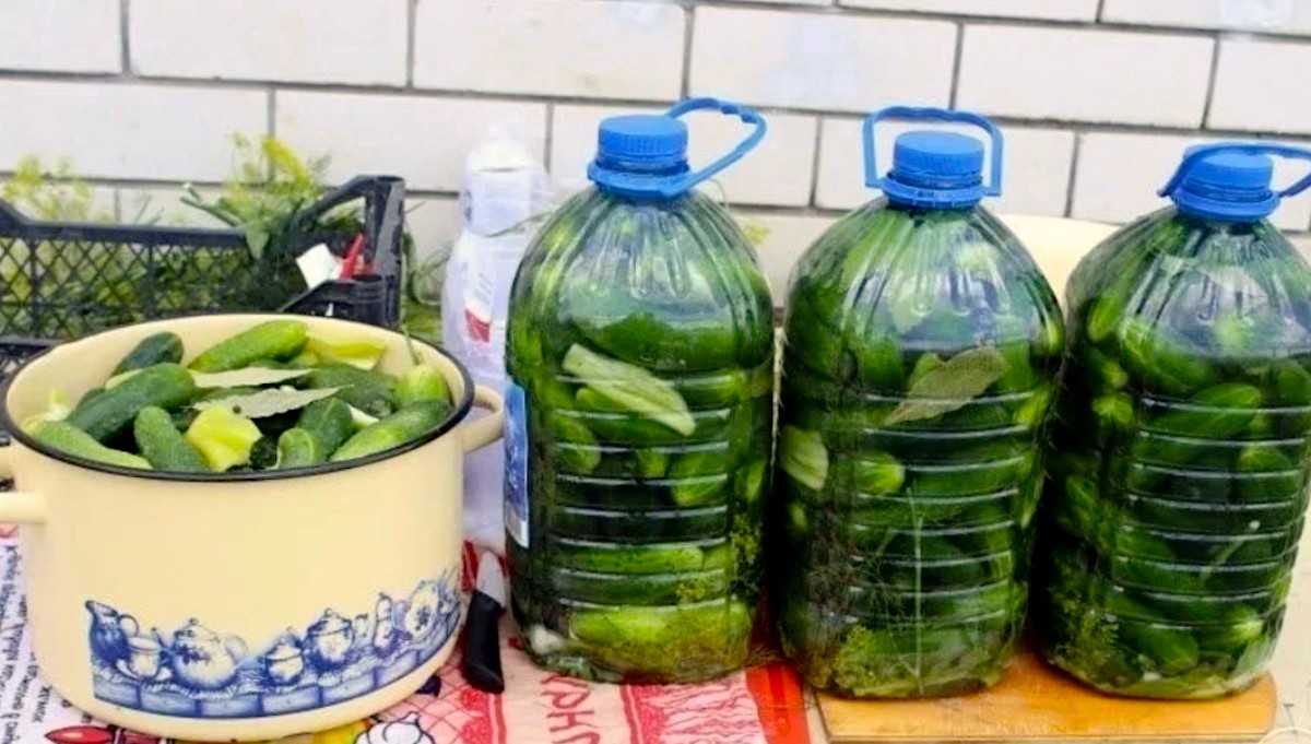 Домашние квашеные огурцы в бутылках — вкус как из бочки!