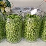 Горошек на зиму, как из сказки! Хранится до 2 лет — нежный, сладковатый, натуральный 14 Горошек на зиму, как из сказки! Хранится до 2 лет — нежный, сладковатый, натуральный