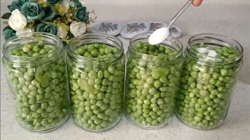 Горошек на зиму, как из сказки! Хранится до 2 лет — нежный, сладковатый, натуральный
