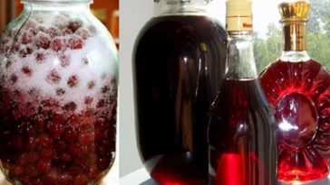Вишневый ликёр всего из 3 ингредиентов – удивительно вкусно и просто!