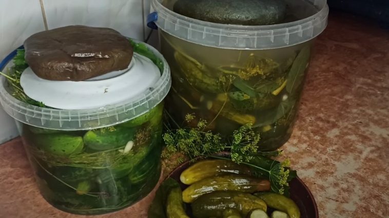 30 лет только по этому рецепту! Хрустящие квашеные огурцы, как из бочки у бабушки