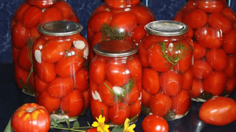 a97fc56ded6b2dfccb170902d0c7b54a