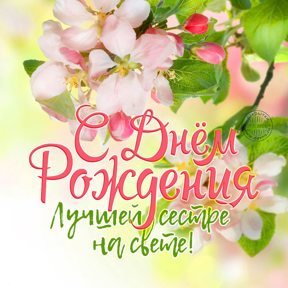 Поздравления с днем рождения сестры: как выразить любовь через слова