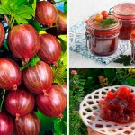 Изумрудное варенье из крыжовника с вишнёвыми листьями — королевский деликатес