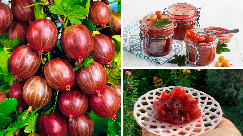 Изумрудное варенье из крыжовника с вишнёвыми листьями — королевский деликатес