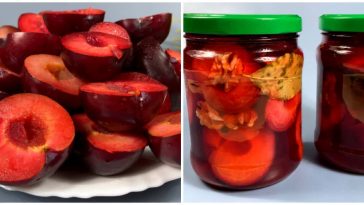 Пряная слива на зиму — семейный рецепт, который никогда не подводит