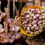 Никогда не делайте ЭТО с чесноком после выкопки — иначе он долго не пролежит!