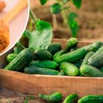 🌱 Всего 1 ложка этого порошка – и урожай огурцов обеспечен! 🌿 14 krug 3