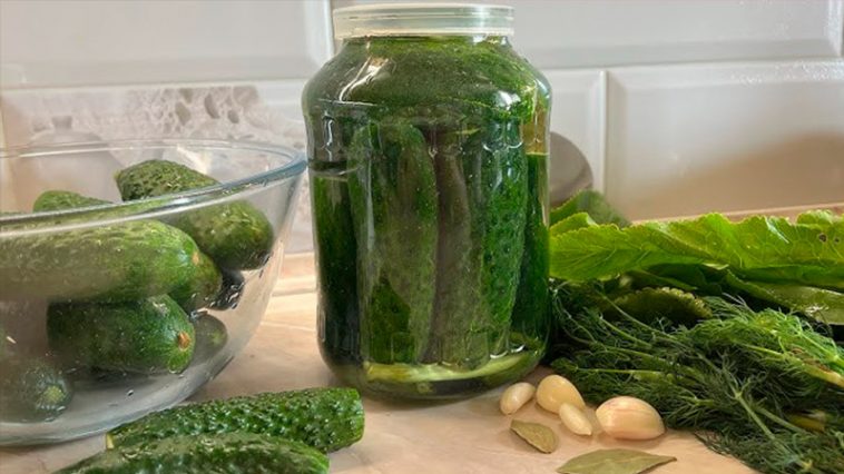 Квашеные огурчики — любимый рецепт, проверенный годами!