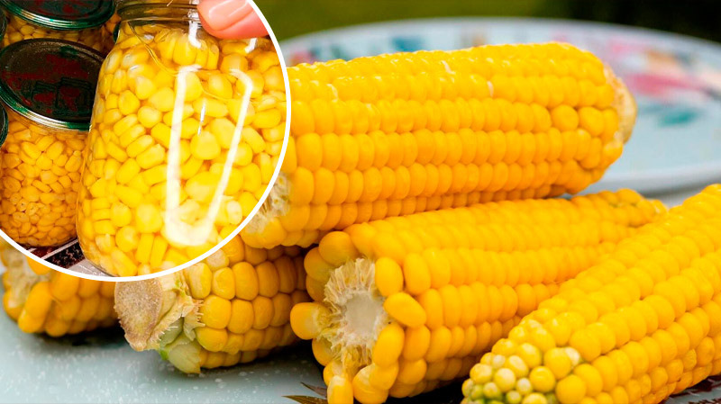 Консервированная кукуруза на зиму – как свежая! Сохраняйте рецепт!