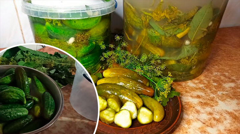 Проверенный годами рецепт хрустящих квашеных огурцов – уже более 10 лет только по нему!
