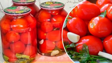 Консервированные помидоры без уксуса — такой вкус вы точно не пробовали!