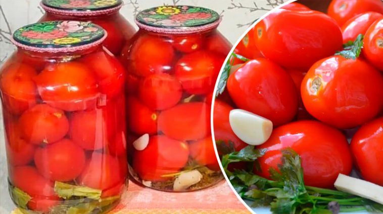 Консервированные помидоры без уксуса — такой вкус вы точно не пробовали!