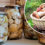 Вкуснейшие маринованные белые грибы — готовлю по этому рецепту уже 10 лет. 17 Вкуснейшие маринованные белые грибы — готовлю по этому рецепту уже 10 лет.