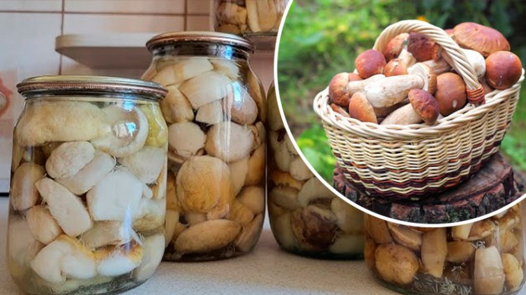 Вкуснейшие маринованные белые грибы — готовлю по этому рецепту уже 10 лет.