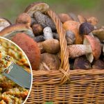 Грибная икра на зиму — просто, вкусно и всегда удачно. Рецепт, проверенный годами 19 Грибная икра на зиму — просто, вкусно и всегда удачно. Рецепт, проверенный годами