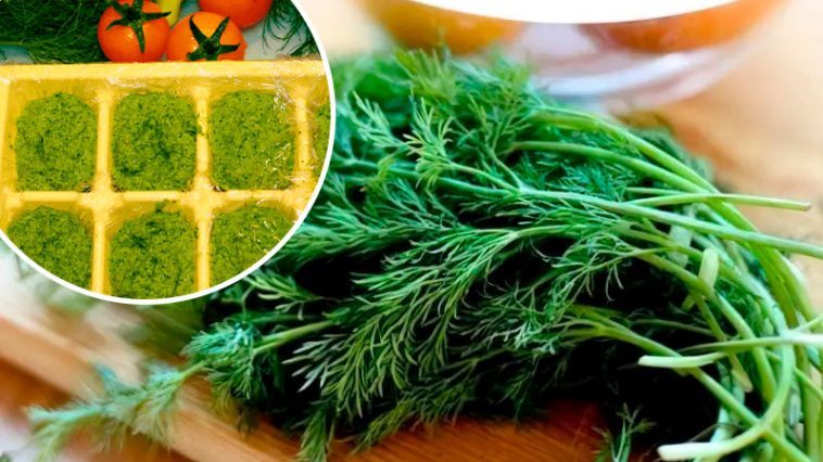 Ароматный укропный соус на зиму — вкуснее «Песто»!