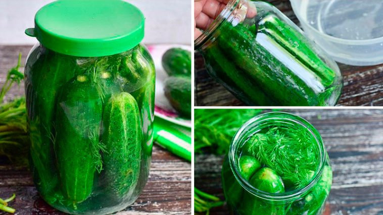 Огурцы на зиму без закатки — просто, как дважды два!