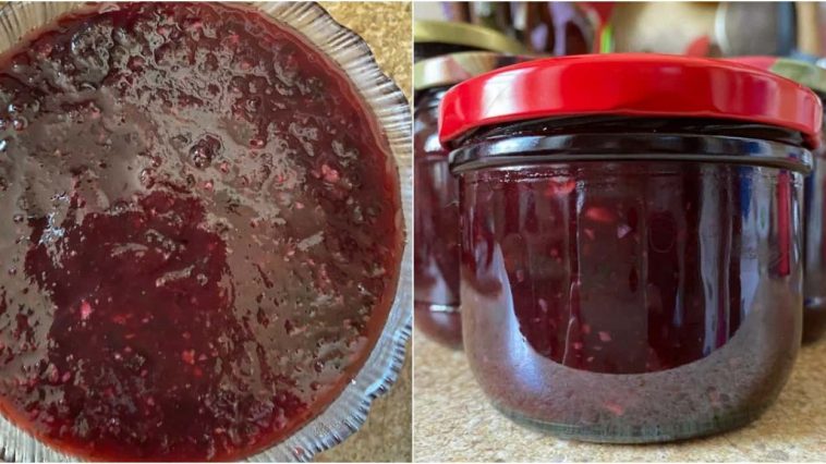 Сливовый соус с чесноком на зиму — пикантное удовольствие к мясу!