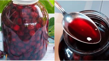 Домашняя вишнёвая наливка на водке — лето в каждом глотке!