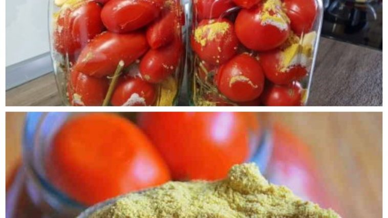 Квашеные помидоры с горчицей — вкус, как из детства!