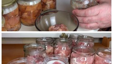 Домашняя тушёнка на зиму – вкусно, сытно и всегда готово к употреблению