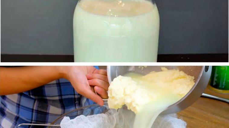 Домашний твердый сыр из молока и сметаны – без добавок