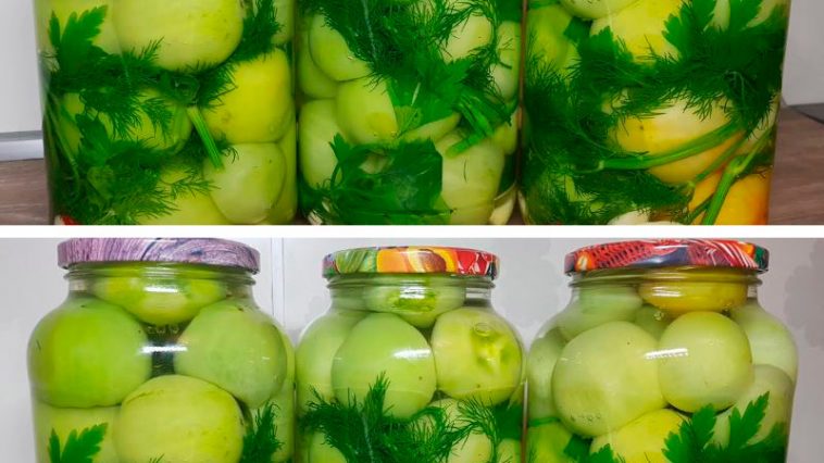 Консервированные зелёные помидоры на зиму — пикантная закуска к любому застолью