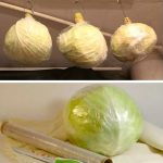 Как правильно хранить капусту, чтобы она оставалась свежей до весны 16 Как правильно хранить капусту, чтобы она оставалась свежей до весны