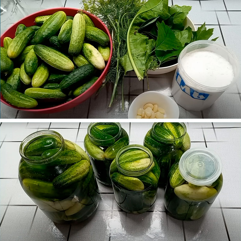 Хрустящие малосольные огурчики без лишних хлопот: рецепт для 3-литровой и 1,5-литровой банки