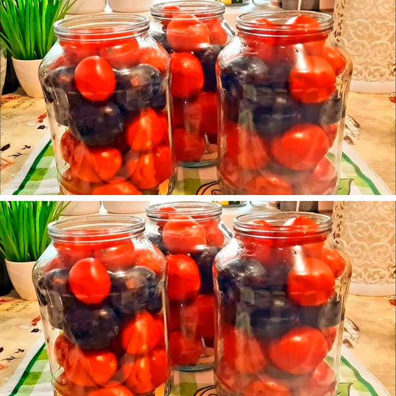 Восхитительные маринованные помидоры со сливами — необычная заготовка, которую вы полюбите с первого кусочка
