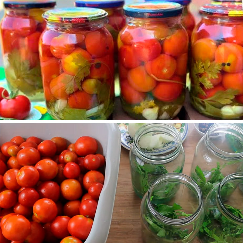 Помидоры «Хозяйка» — золотая заготовка на зиму