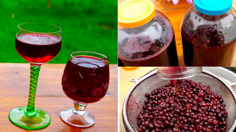 Смачніша за дороге вино! Домашня настоянка зі смородини – гість без пляшечки не піде!