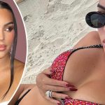 bvdbvjdjhsbhcsdcsjbcj