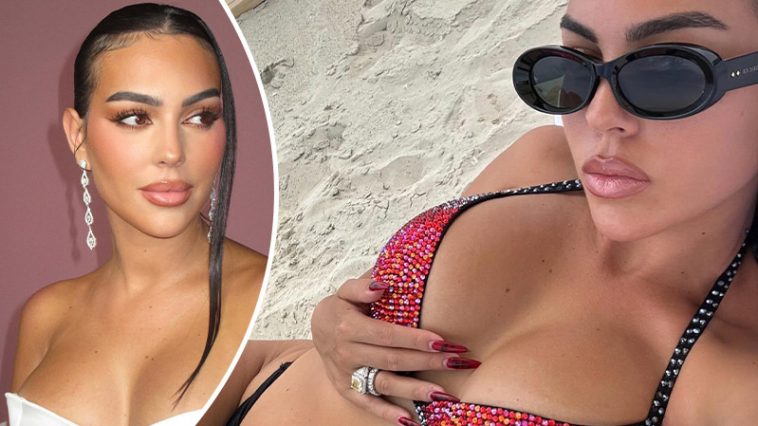 bvdbvjdjhsbhcsdcsjbcj