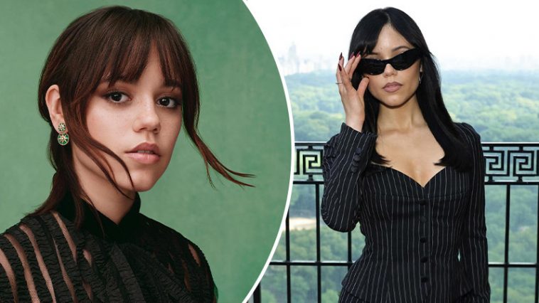 bvdbvjdjvgrnibhsbhbcj