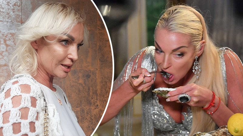 bvdbvjdjvgrnibhsbhdcsjbcj 1