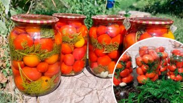 Помидоры с морковной ботвой на зиму – секрет ароматной закатки