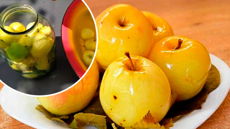 Квашеные яблоки с мёдом и пряностями — зимний деликатес