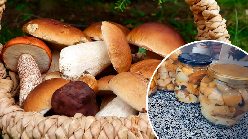 Универсальный маринад для грибов — рецепт, проверенный временем