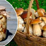 Любимый рецепт уже 15 лет! Маринованные белые грибы — вкуснотища на зиму