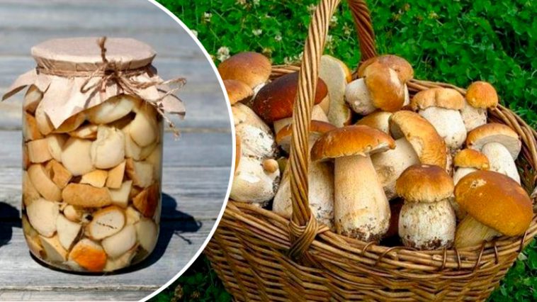 Любимый рецепт уже 15 лет! Маринованные белые грибы — вкуснотища на зиму