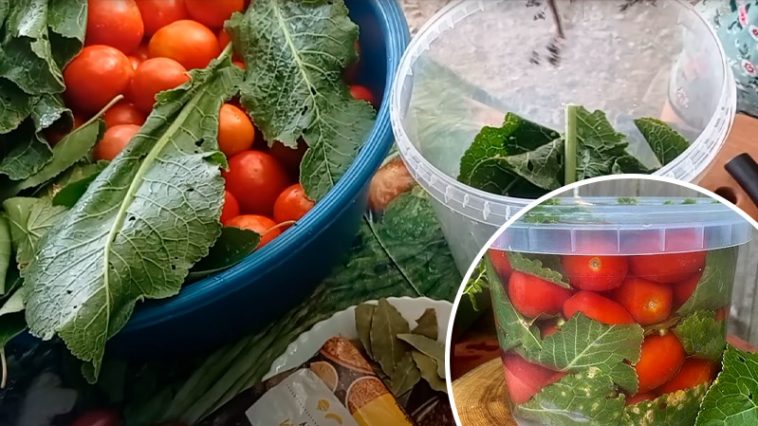 Квашенные помидоры на зиму – два простых рецепта для идеальной закуски!