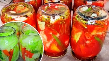 Капуста в томатном соке на зиму — самый вкусный и простой рецепт!
