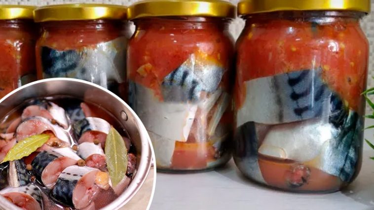 Консервированная скумбрия с морковью и томатами — домашний деликатес в банке