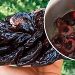 Цукаты из слив – ароматное лакомство своими руками